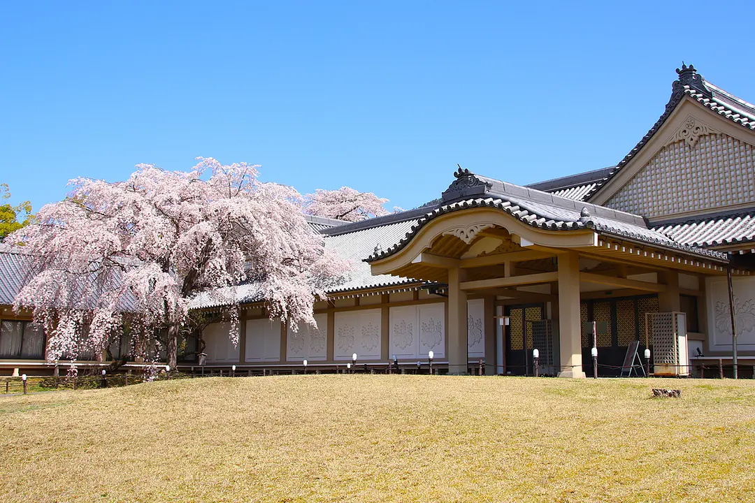 三宝院 | スポット一覧 | 京都府観光連盟公式サイト